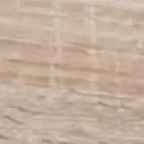 Próbka koloru dab-sonoma